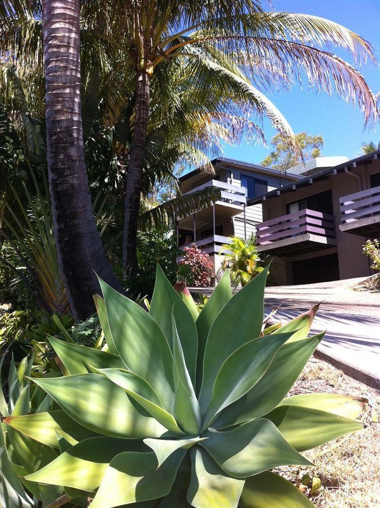 Unit 1 Sunbird On Lamond Villa แอร์ลีบีช ภายนอก รูปภาพ